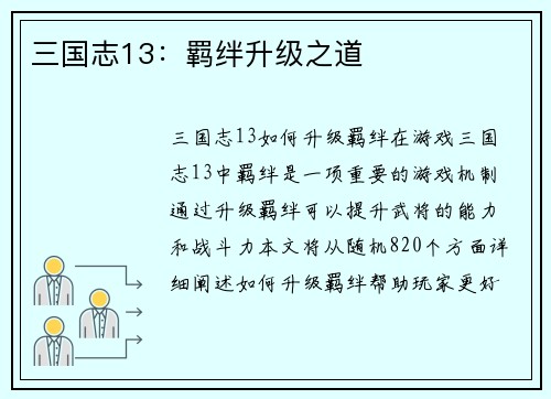 三国志13：羁绊升级之道